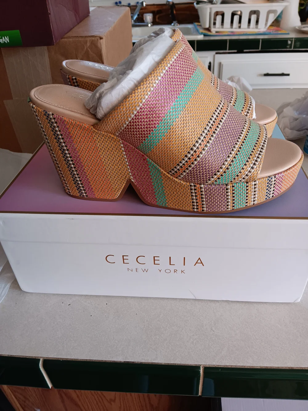 Cecelia Women’s Multicolor Woven Platform Slide Sandals Size 9